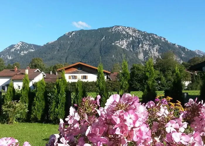 Hotell Alpenotel Rosenhof Ruhpolding, Wellness, Chiemgau Karte, Travelingo Bonus Programm Ruhpolding