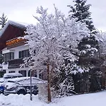 Alpenotel Rosenhof Ruhpolding, Wellness, Chiemgau Karte, Travelingo Bonus Programm Ruhpolding